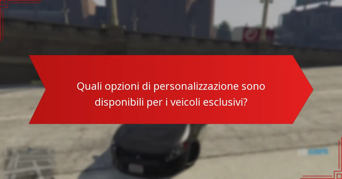 Quali opzioni di personalizzazione sono disponibili per i veicoli esclusivi?
